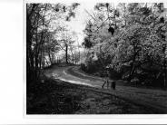 1971 Tourist Bureau picture of wooded street